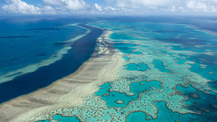 Pjesët e Great Barrier Reef tregojnë mbulesën më të madhe koralore të parë në 36 vjet