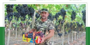 Prodhuesi i rrushit në Fier i mbështetur nga IPARD II
