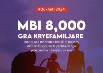 Mbi 8 mijë gra kryefamiljare, do të përfitojnë nga programet e mbrojtjes sociale