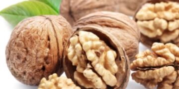 Hani arra çdo ditë, cilat janë përfitimet?