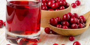 Boronica e kuqe, një antibakterial i fuqishëm