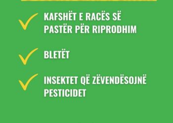 0 TVSH për importin, ja kategoritë që përfitojnë
