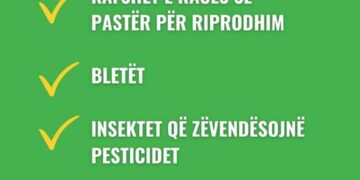 0 TVSH për importin, ja kategoritë që përfitojnë