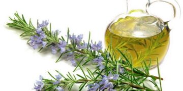 Cosmos oil, mrekullia e flokut me vaj rozmarine 100 % bio organik