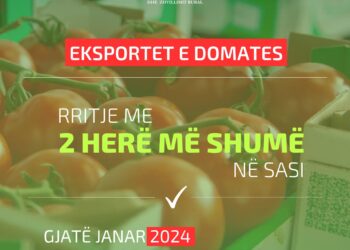 Dyfishohen eksportet e domates në janar 2024