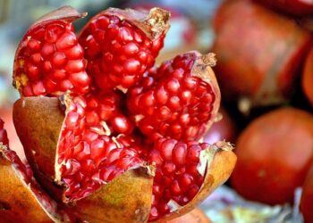 Produktet Natyrale më të Mira për Koronaret e Zemrës