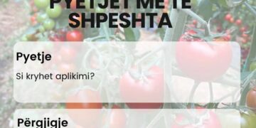 Nesër nisin aplikimet për Skemën Kombëtare të Mbështetjes në Bujqësi 2024