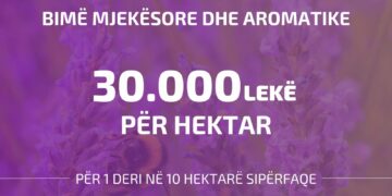 Denaj: Mbështetje për sektorin e bimëve aromatike dhe medicinale