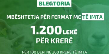 Skema Kombëtare 2024, mbështetje për fermat me bagëti
