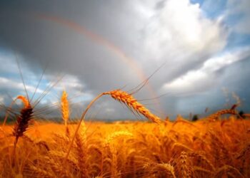 Raporti i Institutit të Potsdamit: Ngrohja globale do të rrisë inflacionin