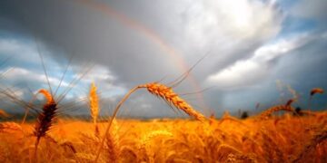 Raporti i Institutit të Potsdamit: Ngrohja globale do të rrisë inflacionin