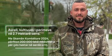 Si të përfitohet financim 100% nga Skema Kombëtare 2024