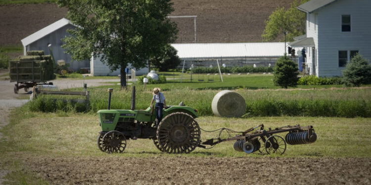 KALONA, USA - JUNE 02: A young Amish farmer dismounts his steel-wheeled tractor in Kalona, Iowa, on June 02, 2017. Amish farmers say they use steel wheels on their tractor so that they aren't tempted to drive it on paved roads. (Photo by Rachel Mummey for The Washington Post via Getty Images)