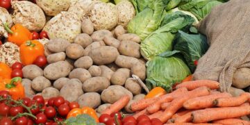 Ushqehemi me importe, rritje me 70 % e frutave e zarzavateve në 3-mujor