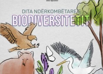 Sot, Dita Ndërkombëtare e Biodiversitetit