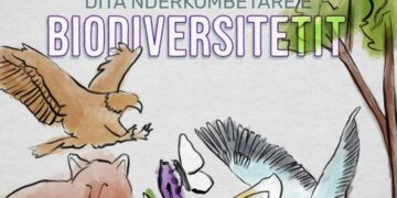 Sot, Dita Ndërkombëtare e Biodiversitetit