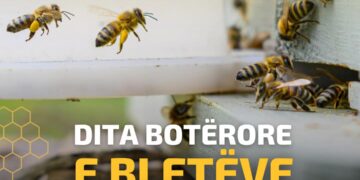 Dita Ndërkombëtare e Bletëve, mbi 4 mijë bletërritës u mbështetën nga Skema Kombëtare