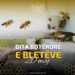 Dita Ndërkombëtare e Bletëve, mbi 4 mijë bletërritës u mbështetën nga Skema Kombëtare