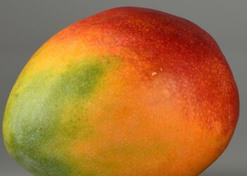 Mango, të mirat në oganizëm