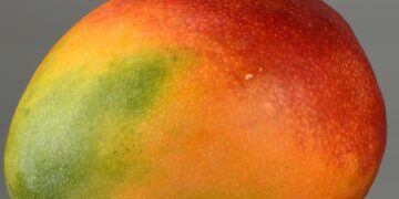 Mango, të mirat në oganizëm