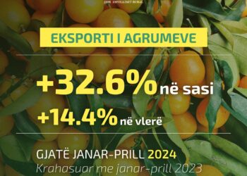 Rritet eksporti i agrumeve me 32.6 %
