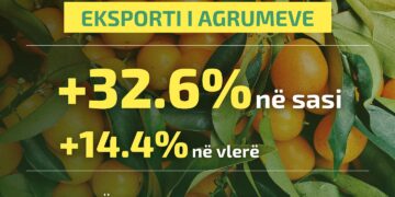 Rritet eksporti i agrumeve me 32.6 %