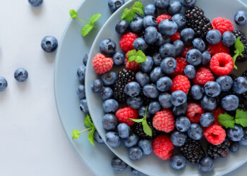 Manaferra dhe Boronica, vlerat e rralla të dy frutave medicinale