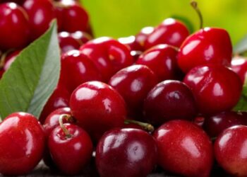 Konsumoni sa më shumë qershi gjatë sezonit