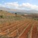 Agro Farm, një diversifikim i aktiviteteve bujqësore