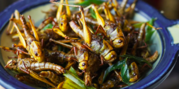 Singapori miraton insektet si ushqim