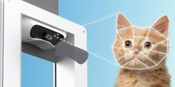Inteligjenca artificiale së shpejti do të tregojë së çfarë po ju thotë macja apo qeni juaj?