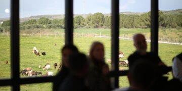 Bujqësia dhe agroturizmi, Rama: Dy linja financimi për zhvillimin rural