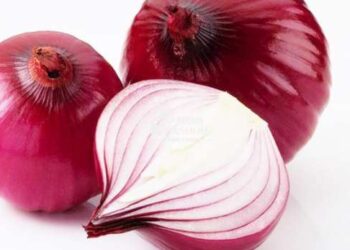 Vlerat ushqyese të qepës së kuqe