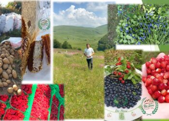 “BIO STANI” BUZËMADHE KUKËS, NJË HISTORI SUKSESI QË NISI NGA DASHURIA PËR NATYRËN DHE TRADITËN