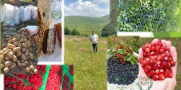 “BIO STANI” BUZËMADHE KUKËS, NJË HISTORI SUKSESI QË NISI NGA DASHURIA PËR NATYRËN DHE TRADITËN