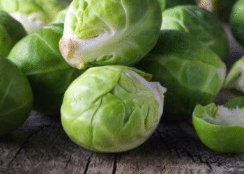 Lakra nuk duhet ndarë nga dieta ushqimore, e pasur me fibra dhe vitamina