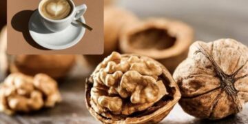 “SciTechDaily”: Arra dhe kafeja rrisin vigjilencën e trurit