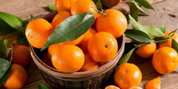 Përfitoni vitaminën C nga fruti më i preferuar i stinës, mandarina