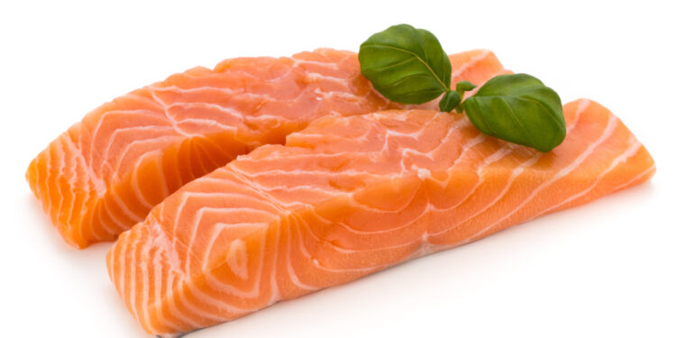 Fresh lachs fillet with basil on the white background.