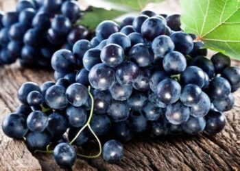 Si të luftoni depresionin me fruta