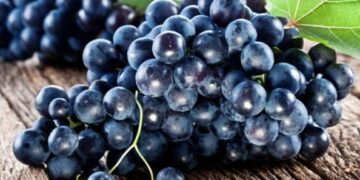 Si të luftoni depresionin me fruta
