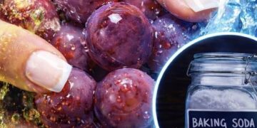 Soda e bukës largon deri në 99% të pesticideve nga frutat, më efektive se uthulla dhe uji