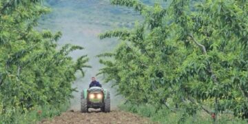 Nga 1 Korriku nis kompensimi i fermerëve – Procedura e aplikimit me 5 hapa, 10% për faturat e lëshuara