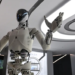 Robotët humanoidë po ndryshojnë jetën në Kinë