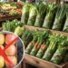 Tajlanda zëvendëson plastikën me gjethe bananeje në supermarkete