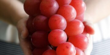 5 frutat më të shtrenjta në botë