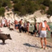 Ishulli i vogël pranë Itakës që po çmend turistët, derrat lahen në det dhe shëtisin mes pushuesve