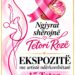 TETORI ROZË – NGJYRAT SHËROJNË